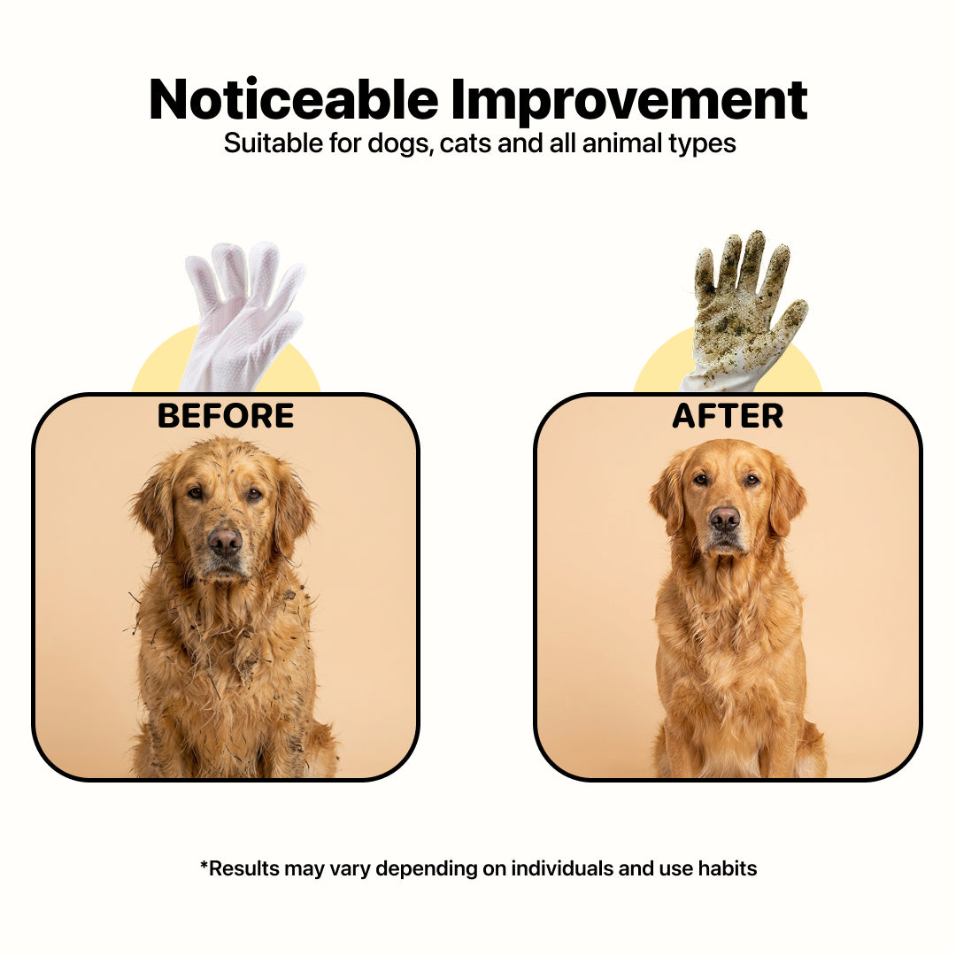 Grooming Glove Wipes