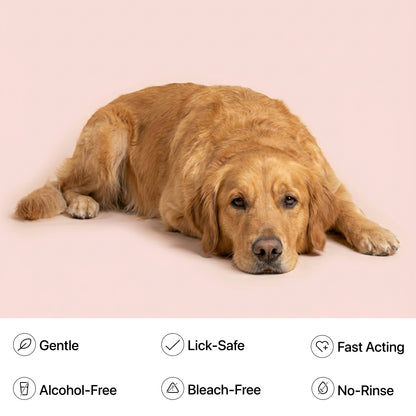 Grooming Glove Wipes